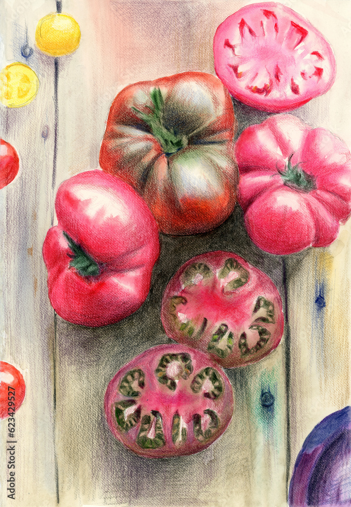 Watercolor illustration of ripe red, yellow and pink tomatoes, whole and cut in half, lying on an old wooden tabletop Watercolor illustration of ripe red, yellow and pink tomatoes, whole and cut in half, lying on an old wooden tabletop