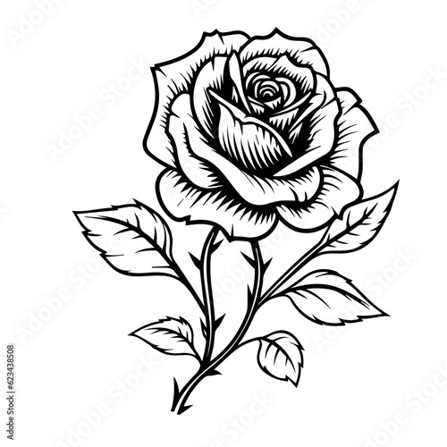 rose flower vector illustration
