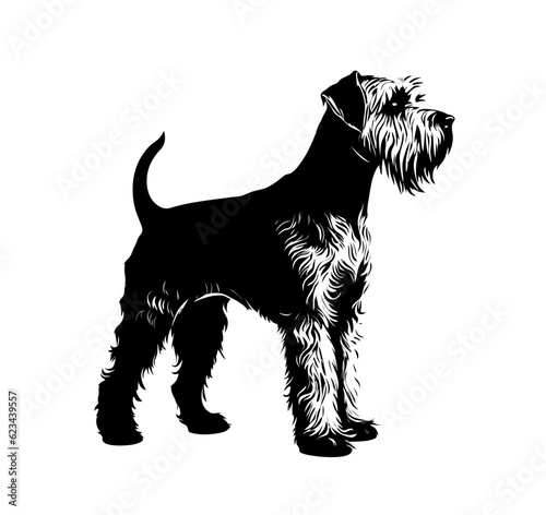Vector isolated one single standing Airedale Terrier dog full body side view black and white bw two colors silhouette. Template for laser engraving or stencil, print for t shirt