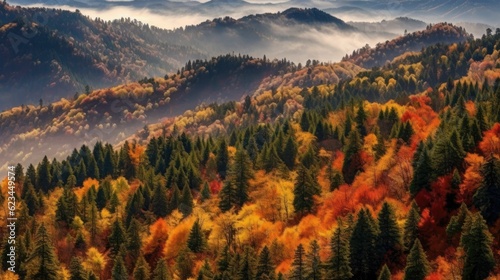aerial top view autumn river, autumn forest landscape