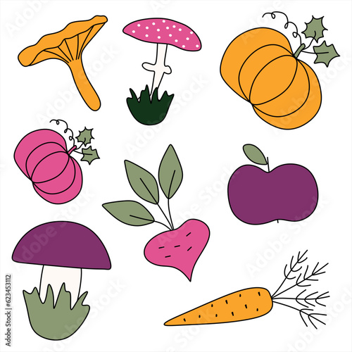 Set of vegetables and mushrooms. Vector flat illustration, elements isolated on white. Autumn harvest clipart with pumpkin, apple, carrot, amanita, chanterelle, boletus, beet. Graphic collection.