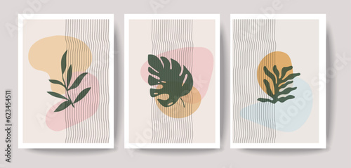 Set of posters with elements of monstera leaf plants and abstract shapes, modern tropical graphic design. Perfect for poster, cover, invitation, brochure, social media or digital print. Vector illust  © Sonia