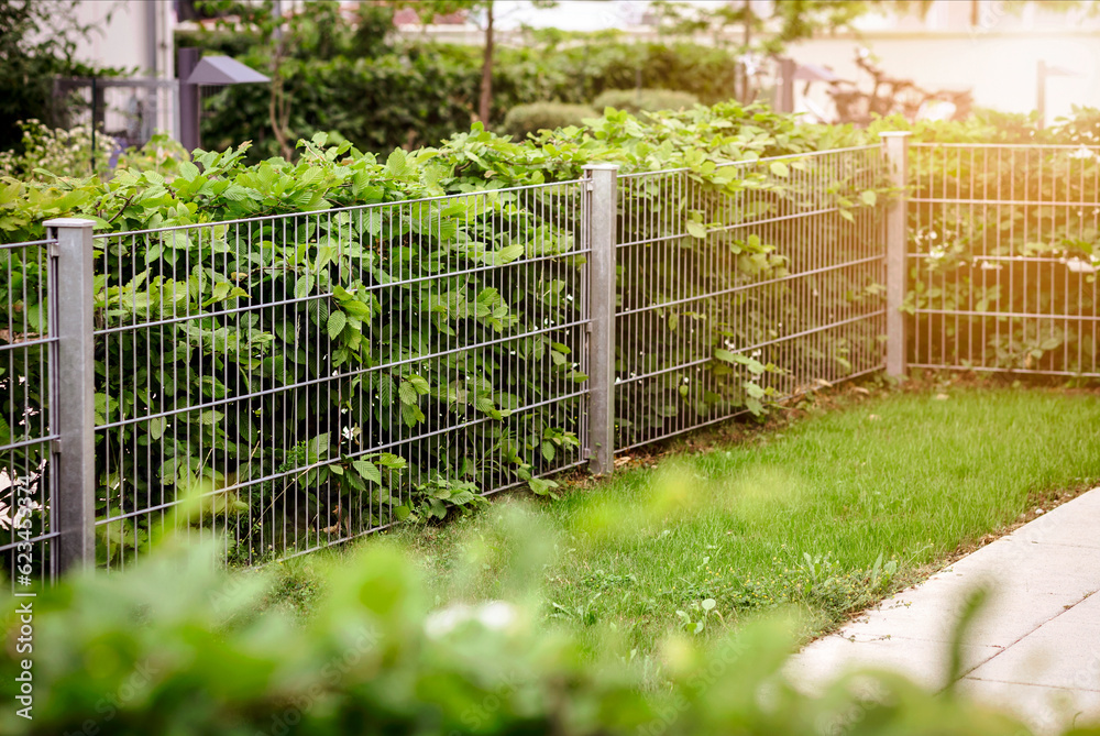 Hedge with Stainless Steel Mesh Fence of Patio Garden. Hedgerow or Green Leaves Wall of Modern Landscaping. Hedge with Stainless Steel Mesh Fence of Patio Garden. Hedgerow or Green Leaves Wall of Modern Landscaping.