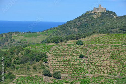Castle on Hill Top
