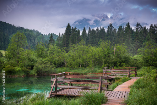 Zelenci Springs nature reserve near Kranjska Gora, Slovenia. Sava river source