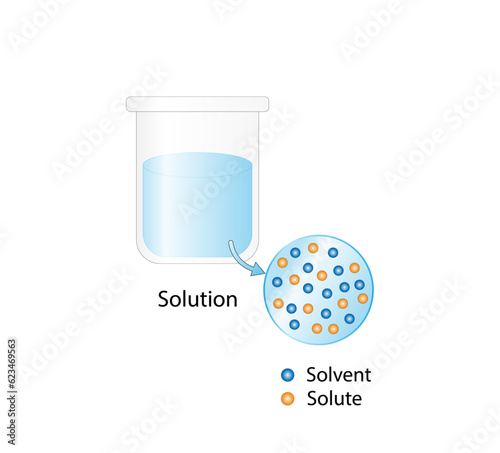 Solution. Solubility homogeneous mixture. Solute, solvent and solution. Dissolving solids. Chemistry. Educational diagram. Conical flask, isolated on white background. Vector illustration.