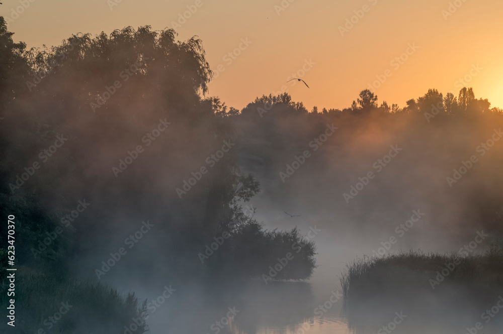 Sunrise in the morning fog in Ukraine