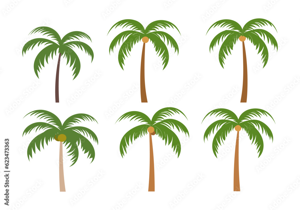 Set of palm trees isolated on white background. Vector illustration in flat style