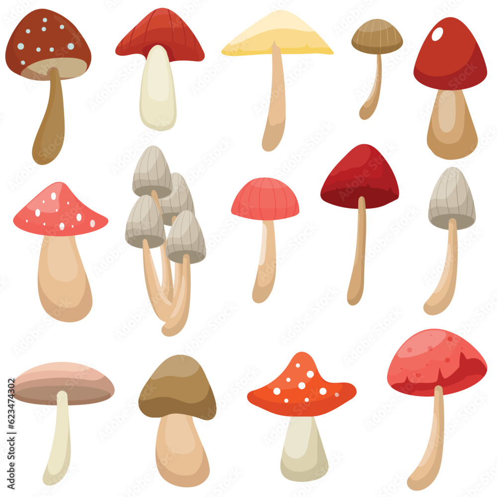 Vector set mushroom collection