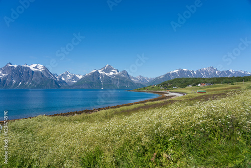 View from Sp  kenes at the Lyngen fjord  Norway