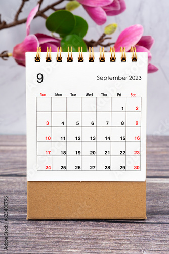 The September 2023 desk calendar and white pink magnolia flower on wooden background.