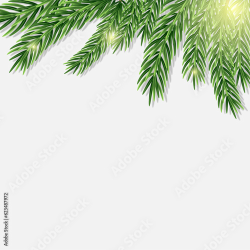 Realistic CHRISTMAS TREE pine branch pink background. New year glowing banner  postcard