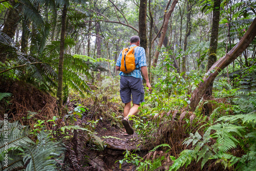 Hike on Hawaiian forest © Galyna Andrushko