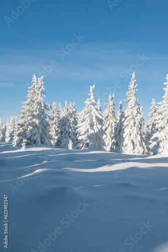 Fabulous winter panorama of mountain forest with snow covered fir trees. Colorful outdoor scene, Happy New Year celebration concept. Beauty of nature concept background. © Viachaslau