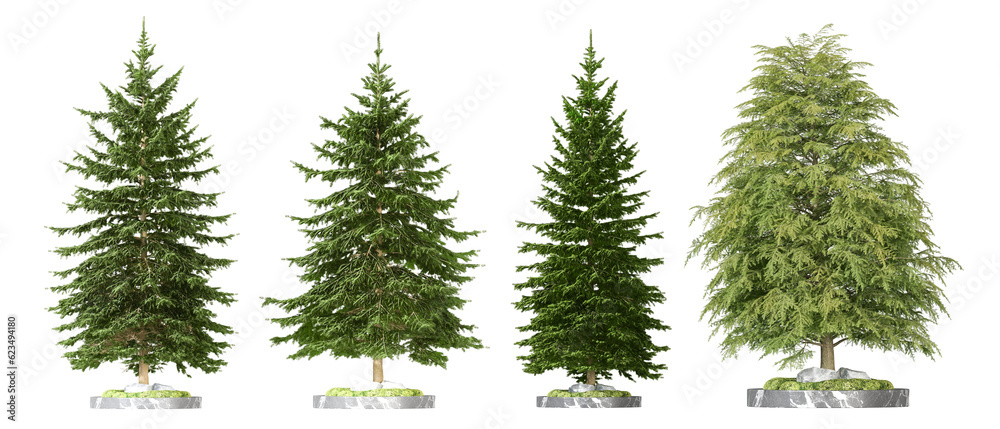christmas tree isolated on white christmas tree isolated on white