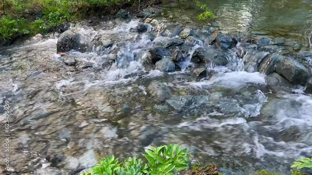View of a beautiful mountain clear transparent stream in a green forest. Amazing summer forest landscape. Calm natural background. View of a beautiful mountain clear transparent stream in a green forest. Amazing summer forest landscape. Calm natural background.