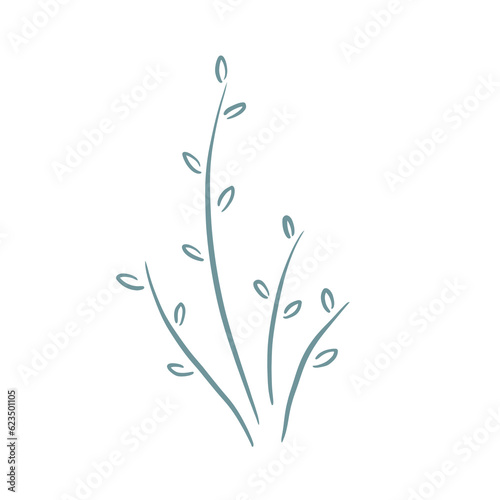 Leaves Leaf Vine Garden Greenery