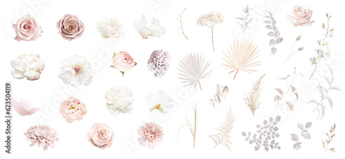 Valokuva Boho beige and blush trendy vector design flowers