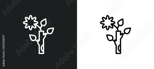 budding staff icon isolated in white and black colors. budding staff outline vector icon from religion collection for web, mobile apps and ui. photo