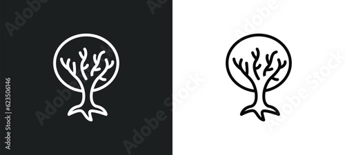 tree of life icon isolated in white and black colors. tree of life outline vector icon from religion collection for web, mobile apps and ui.