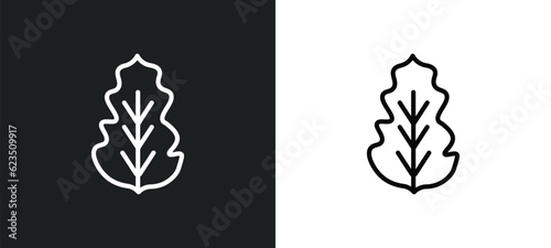 peppermint icon isolated in white and black colors. peppermint outline vector icon from nature collection. thin collection for web, mobile apps and ui.