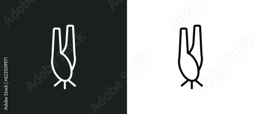 lemongrass icon isolated in white and black colors. lemongrass outline vector icon from nature collection for web, mobile apps and ui.