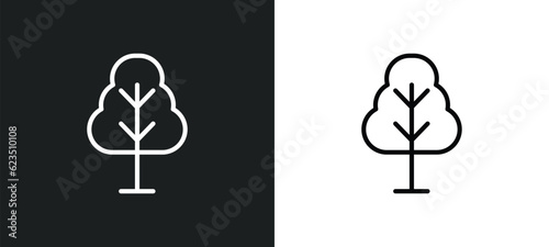birch icon isolated in white and black colors. birch outline vector icon from nature collection for web, mobile apps and ui.