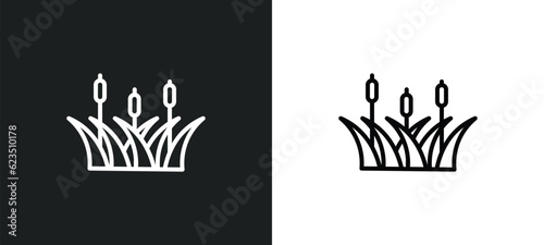 reed icon isolated in white and black colors. reed outline vector icon from nature collection for web, mobile apps and ui.