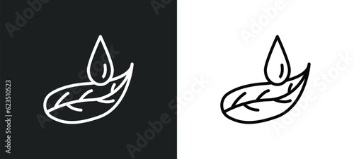Fototapeta Naklejka Na Ścianę i Meble -  leaf and drop icon isolated in white and black colors. leaf and drop outline vector icon from nature collection for web, mobile apps ui.