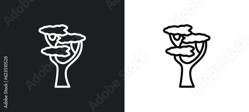 eastern white pine tree icon isolated in white and black colors. eastern white pine tree outline vector icon from nature collection for web, mobile apps and ui.