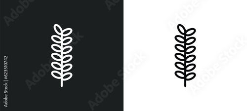 acacia icon isolated in white and black colors. acacia outline vector icon from nature collection for web, mobile apps and ui.