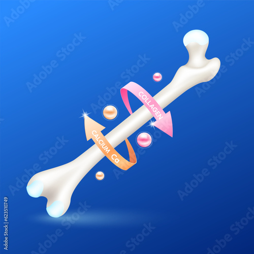 Healthy bone leg with calcium and collagen circular arrow around. Vitamins minerals logo products template design. Medical food supplement concepts. 3D Realistic Vector EPS10.