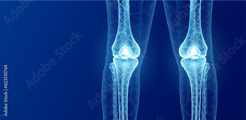 Cartilage bone knee joint side translucent low poly triangles on blue background. Human bone leg anatomy. Medical template with copy space for text. Skeleton x ray scan concept. Vector.