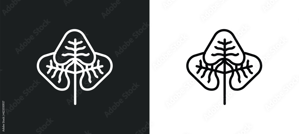 Fototapeta premium reniform icon isolated in white and black colors. reniform outline vector icon from nature collection for web, mobile apps and ui.