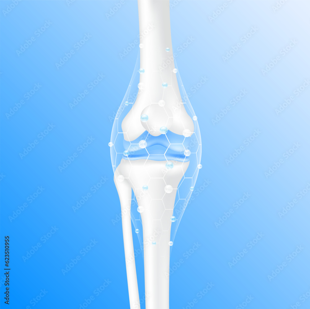 Collagen Vitamins and Calcium magnesium minerals line hexagon