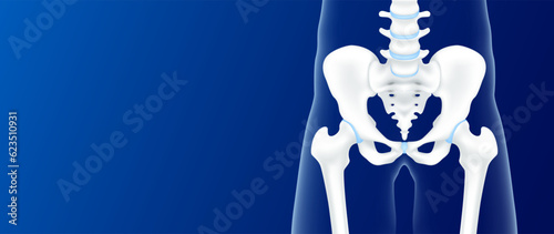 Hip bone and joint cartilage side on blue background with copy space for text. Human skeleton anatomy healthy. Medical health care science concept. Realistic 3D vector.