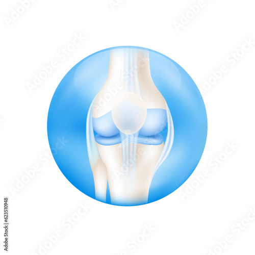 Leg bone knee cartilage human skeleton anatomy inside blue ball. Isolated on white background used for design product supplements. Medical concepts. 3D Vector.