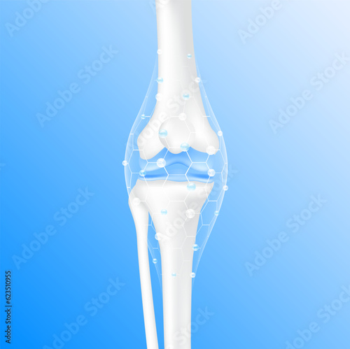 Collagen Vitamins and Calcium magnesium minerals line hexagon connecting surround care bone cartilage knee joint. Healthy human skeleton anatomy isolated on blue background. Realistic 3D vector.