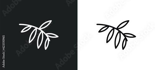 black willow icon isolated in white and black colors. black willow outline vector icon from nature collection for web, mobile apps and ui.