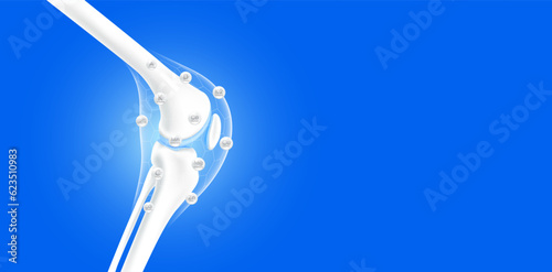 Leg bones and knee joint side healthy. Collagen vitamins and calcium line hexagon connecting surround care bone cartilage. Human skeleton anatomy with copy space for text. Realistic 3D vector.