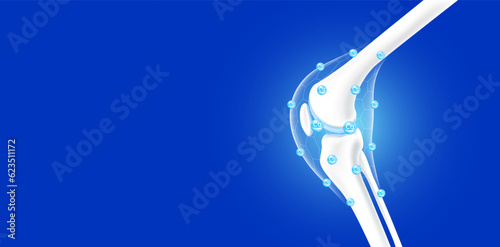 Leg bones and knee joint side healthy. Collagen and calcium line hexagon connecting surround care bone cartilage. Human skeleton anatomy with copy space for text. Realistic 3D vector.