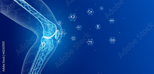 Leg bone side translucent low poly triangles on blue background with vitamins and minerals calcium zinc magnesium absorbed into the bone cartilage care bone knee joint. Used food ads media. Vector. photo