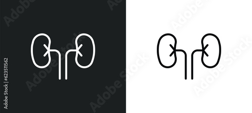kidney icon isolated in white and black colors. kidney outline vector icon from medical collection for web, mobile apps and ui.