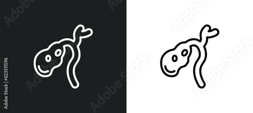 gallbladder icon isolated in white and black colors. gallbladder outline vector icon from medical collection for web, mobile apps and ui.