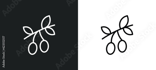 olives icon isolated in white and black colors. olives outline vector icon from hotel collection for web, mobile apps and ui.