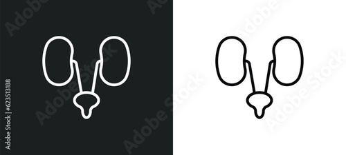urology icon isolated in white and black colors. urology outline vector icon from health and medical collection for web, mobile apps and ui.