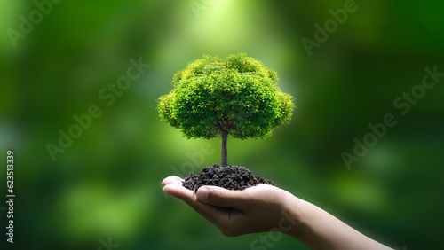 green tree on hand green business ideas Finance and Investment for Sustainability and Carbon Credit photo