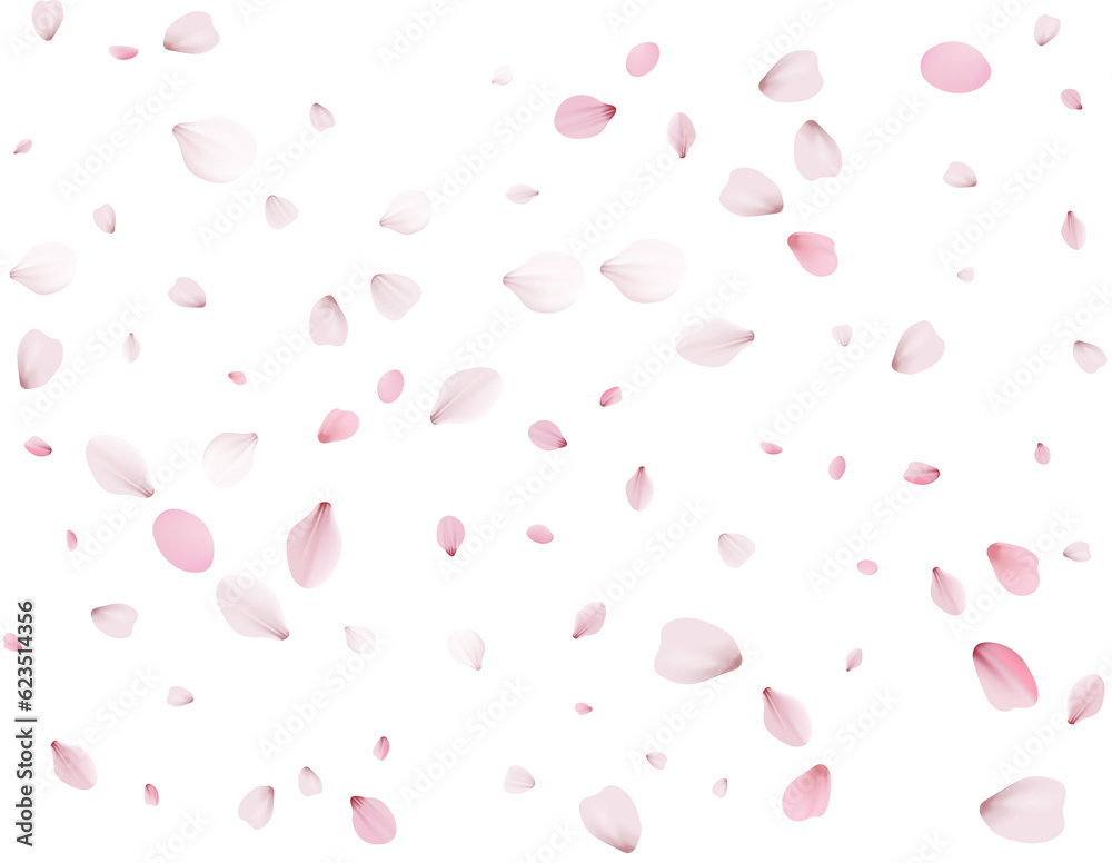 Flying Spring Cherry. Flying Spring Cherry.
