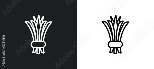 chives icon isolated in white and black colors. chives outline vector icon from food collection for web, mobile apps and ui. © Farahim