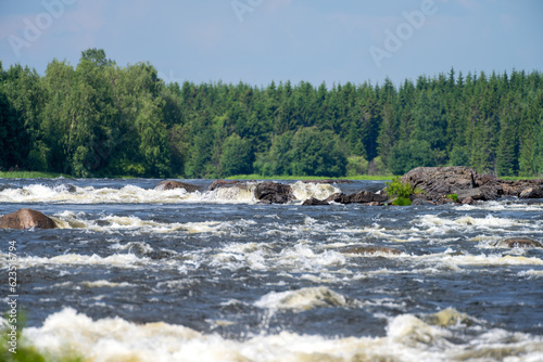 Sunlit Wilderness Serene Flow of Rapid Waters in Northern Sweden